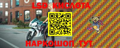 хмурый Кингисепп
