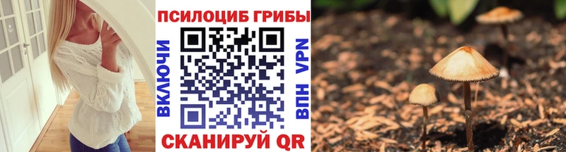 Псилоцибиновые грибы Psilocybine cubensis  Купить закладки  Новороссийск 