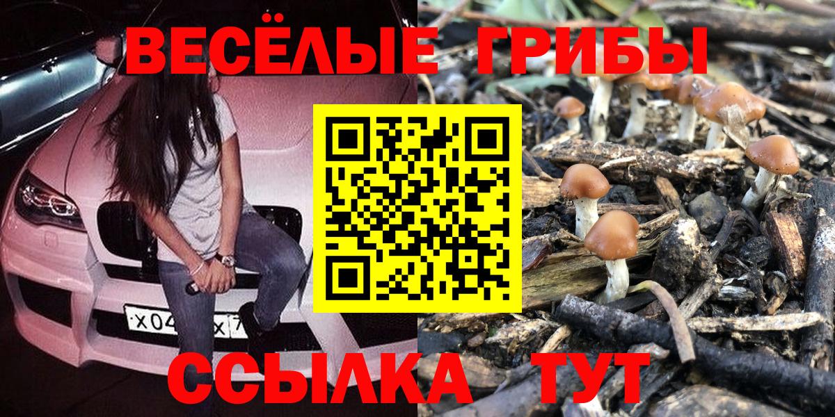 Галлюциногенные грибы GOLDEN TEACHER Новороссийск