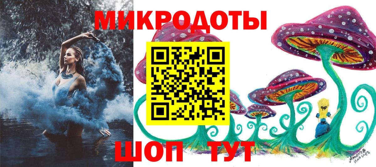 Псилоцибиновые грибы Psilocybe  Новороссийск 