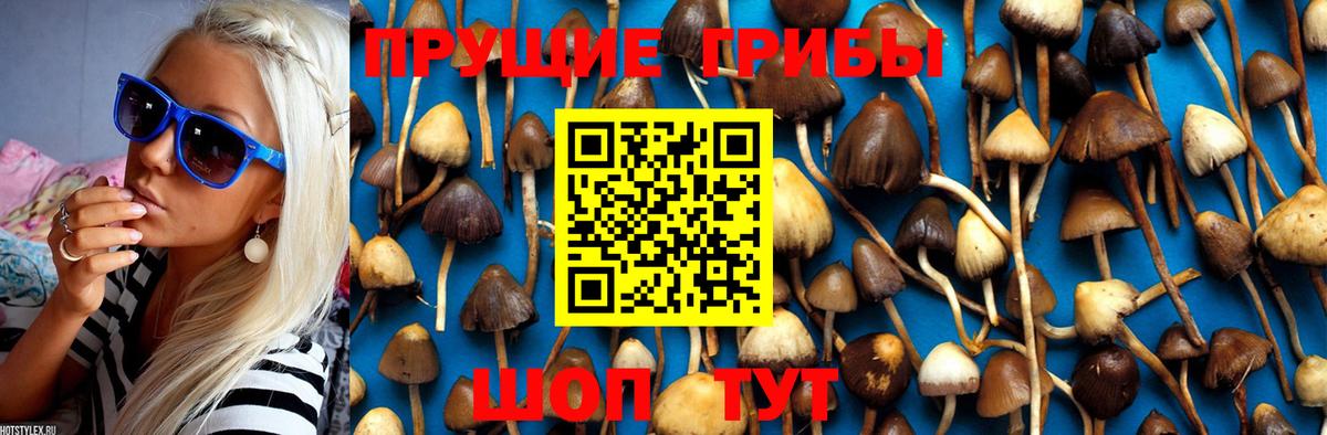Галлюциногенные грибы MAGIC MUSHROOMS Новороссийск